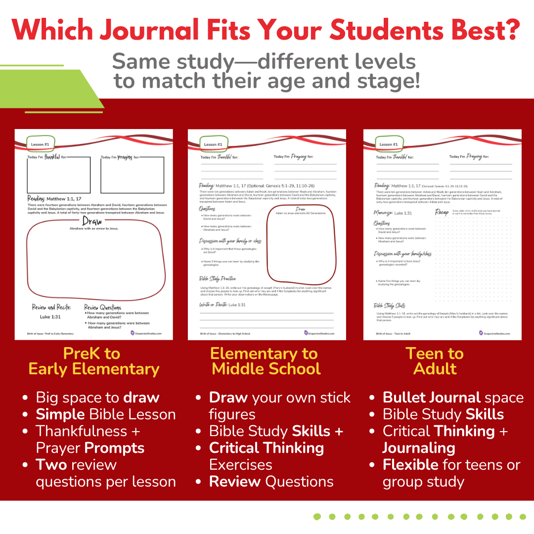 Elementary to Middle School eBook -Large Class