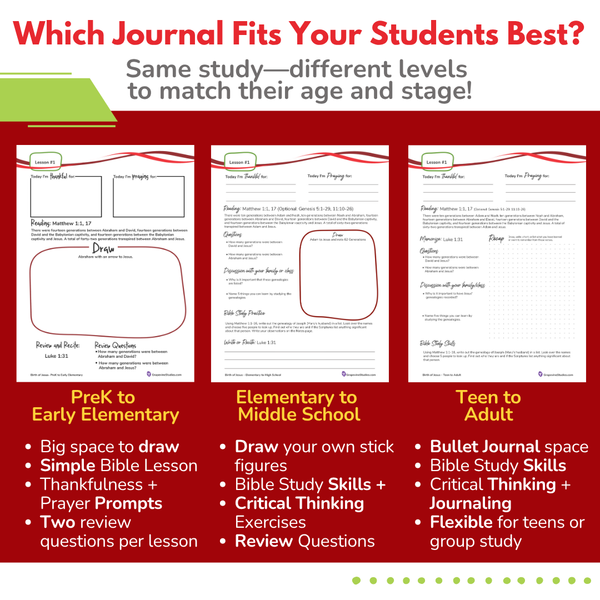 Elementary to Middle School eBook -Large Class