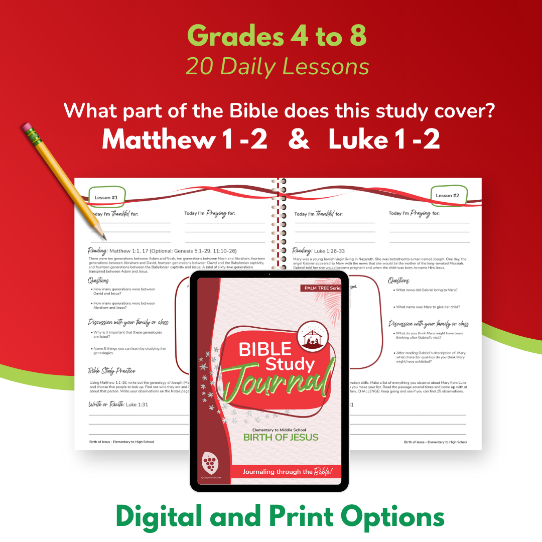 Elementary to Middle School eBook -Large Class