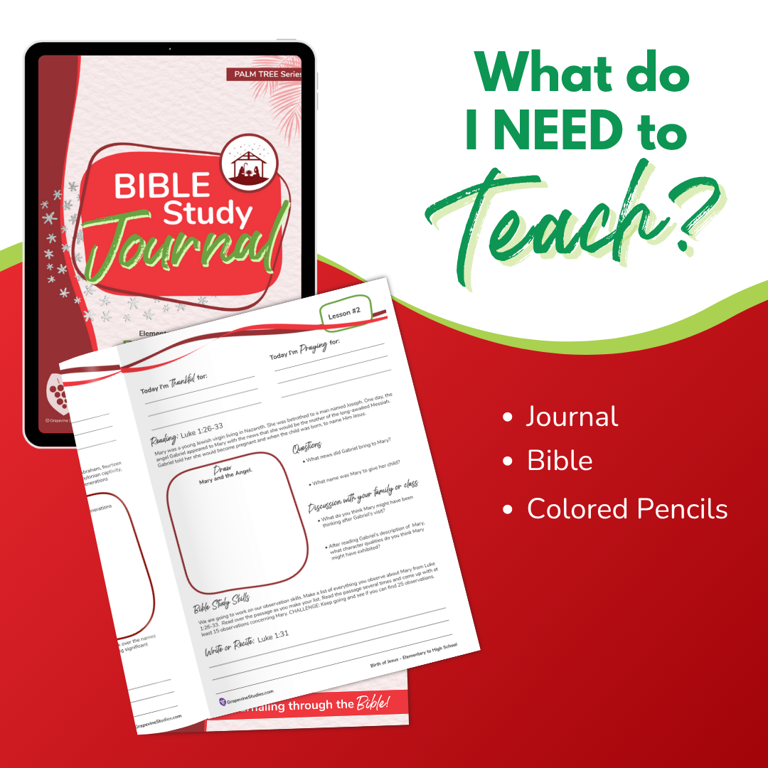 Elementary to Middle School eBook -Large Class