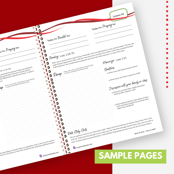 Teen to Adult eBook - Family License