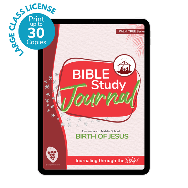 Elementary to Middle School eBook -Large Class