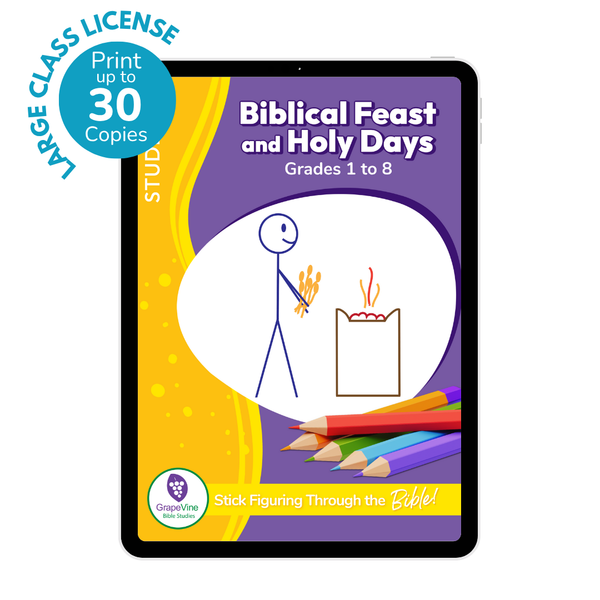Student eBook - Large Class