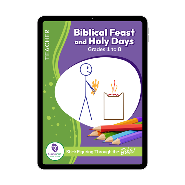 Teacher eBook