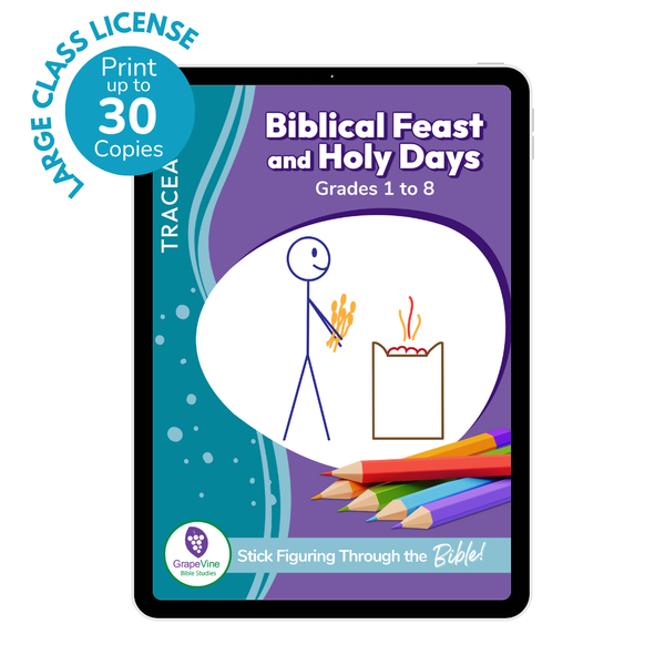 Trace Student eBook - Large Class