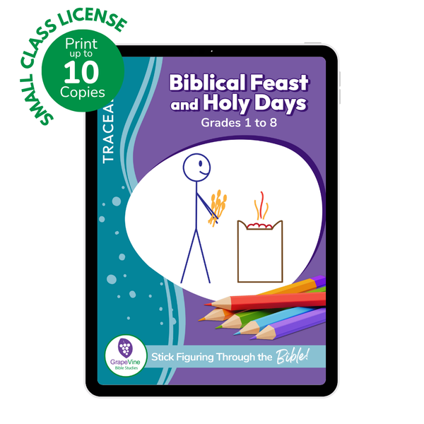 Trace Student eBook - Small Class