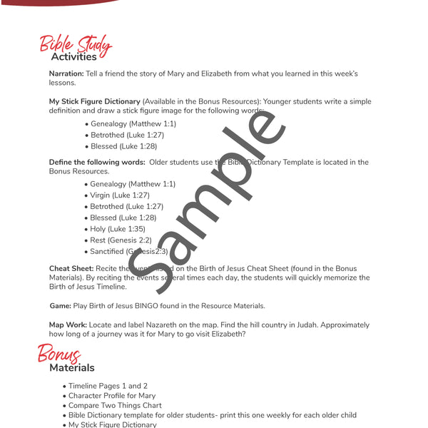 Birth of Jesus Bible Activities eBook