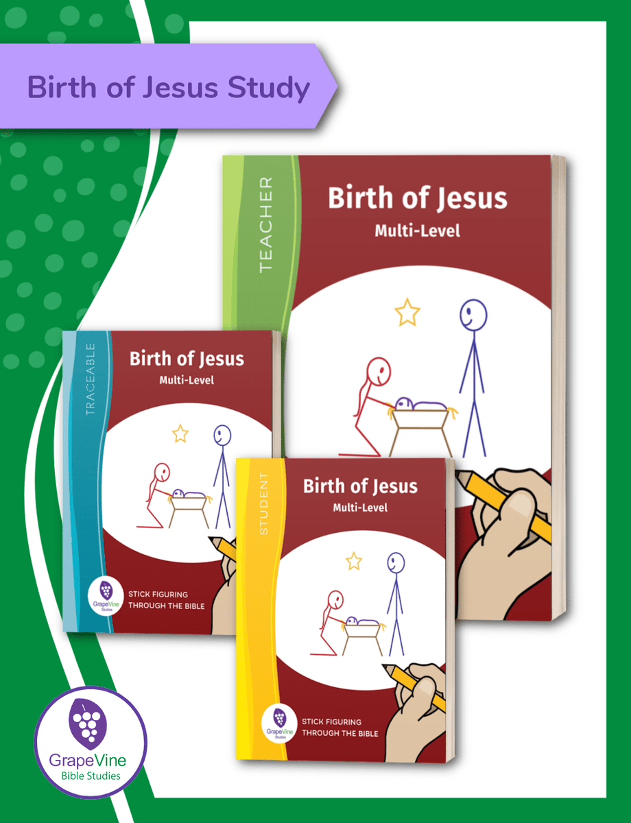 Birth of Jesus Bible Study Printed Books