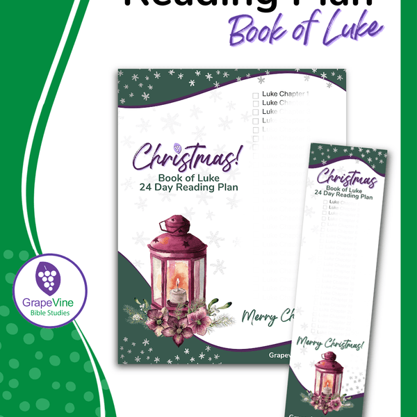 Book of Luke Reading Plan