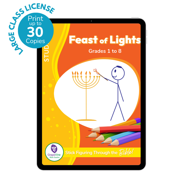 The Feast of Lights Student eBook - Large Class