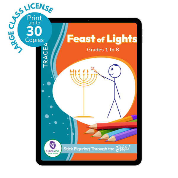 The Feast of Lights Traceable eBook - Large Class