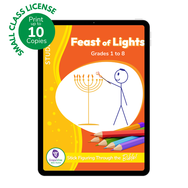 The Feast of Lights Student eBook - Small Class