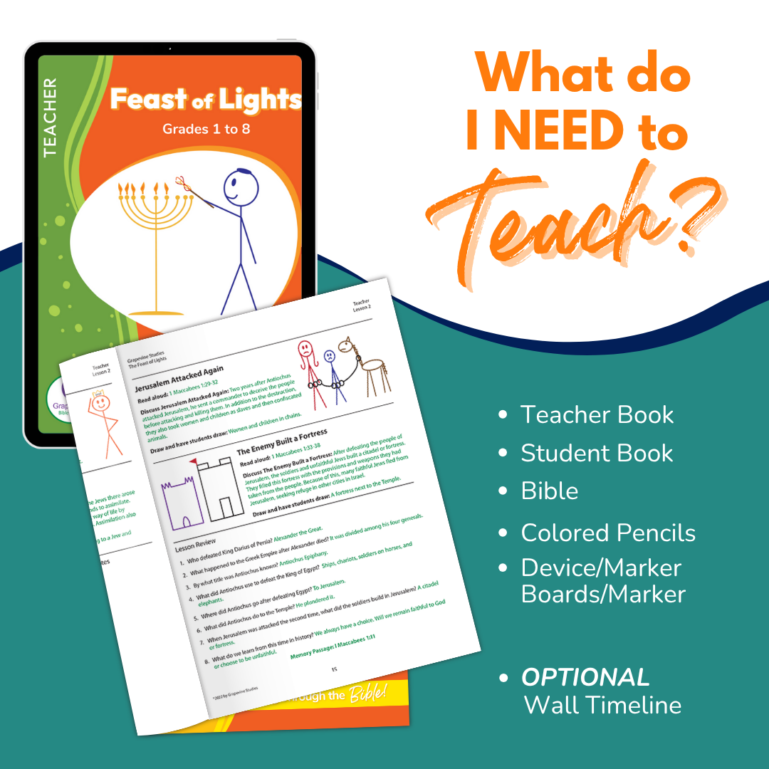The Feast of Lights Teacher Print Books
