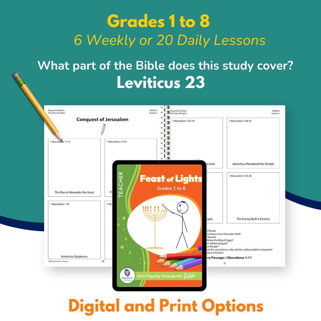 The Feast of Lights Teacher Print Books