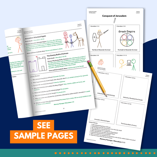 The Feast of Lights Teacher Print Books