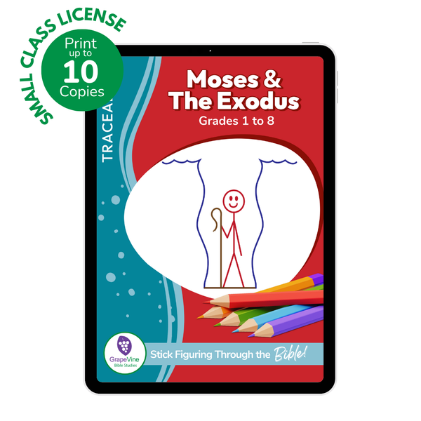 Trace Student eBook - Small Class