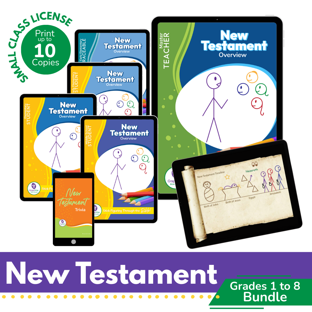New Testament Digital Bundle - Grades 1 to 8 - Small Class