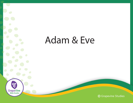 Bible Flash Card Bundle