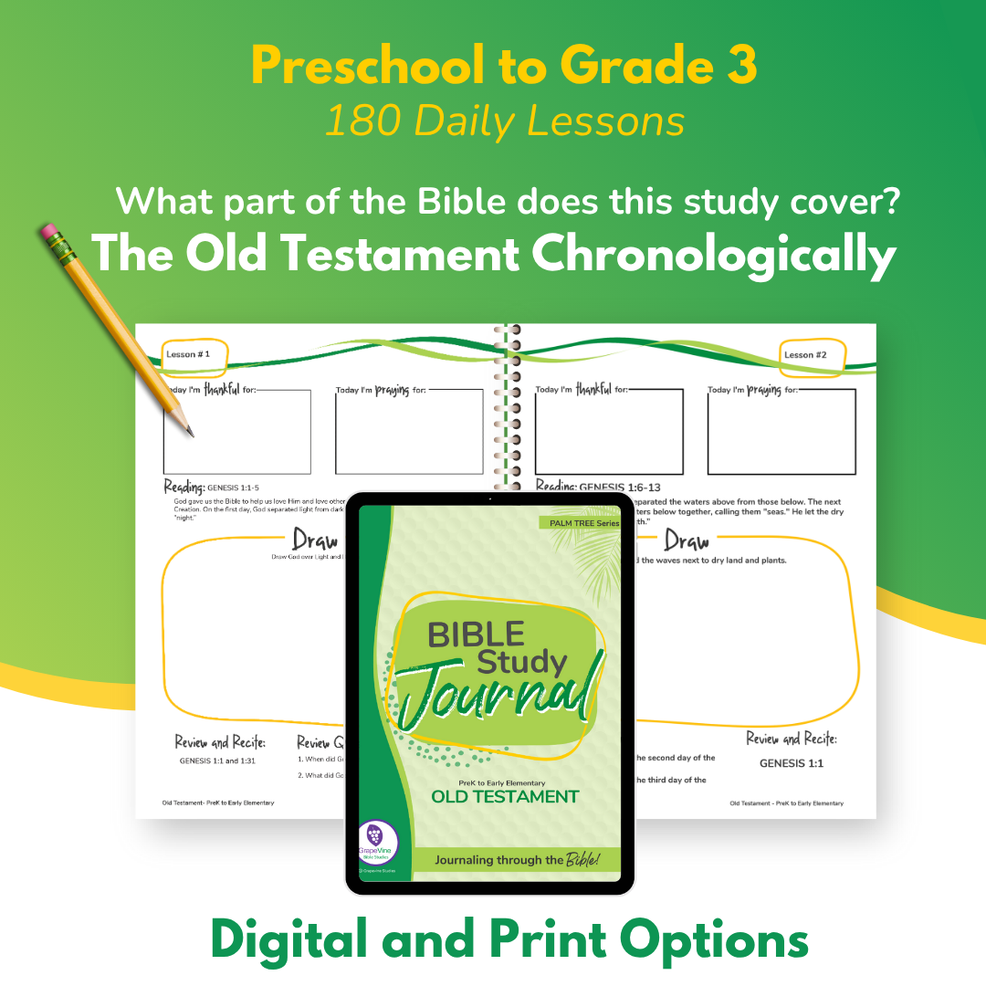 PreK to Early Elementary eBook - Small Class