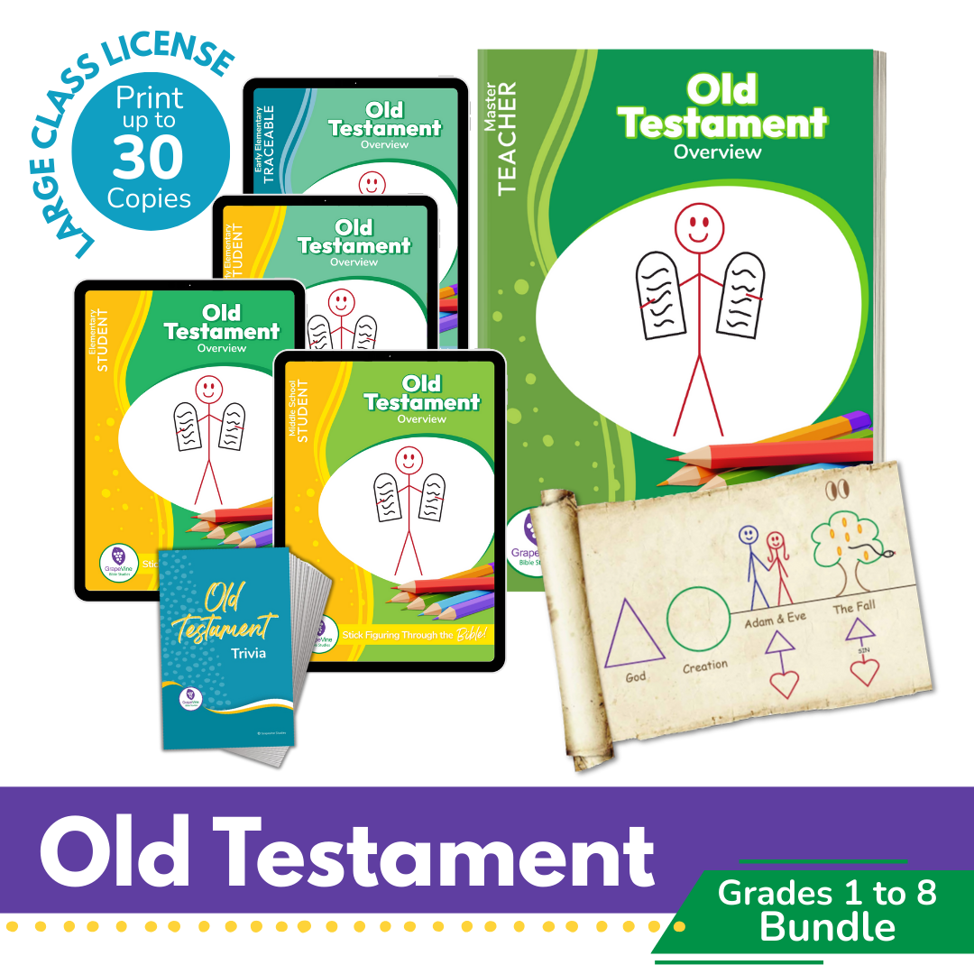 Old Testament Bundle - Grades 1 to 8 - Large Class