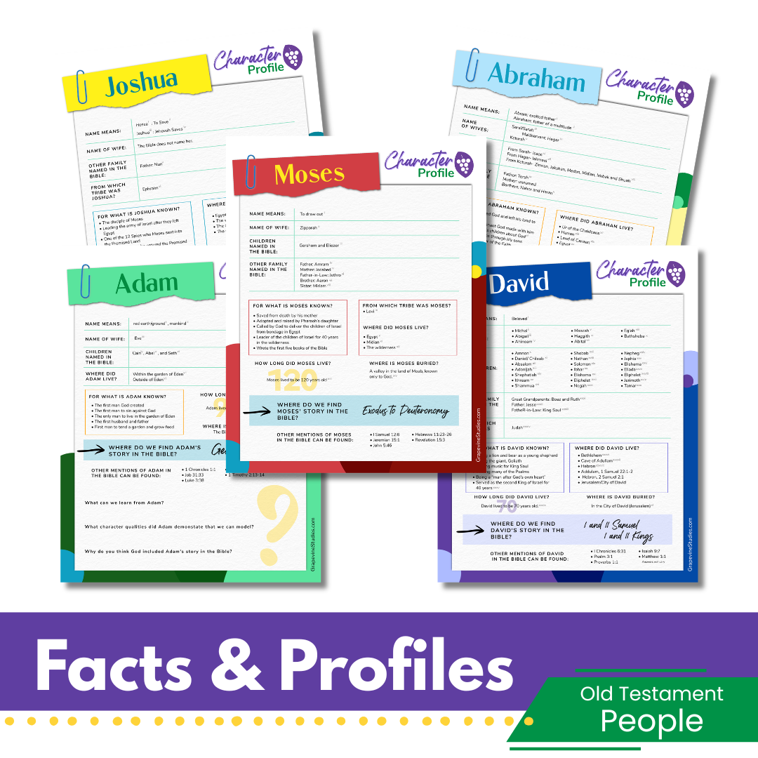 Old Testament People: Facts & Profiles