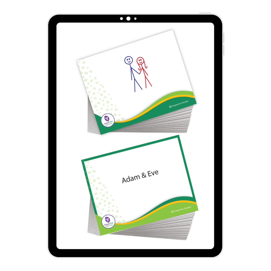 Old Testament Timeline Flash Cards - Digital
