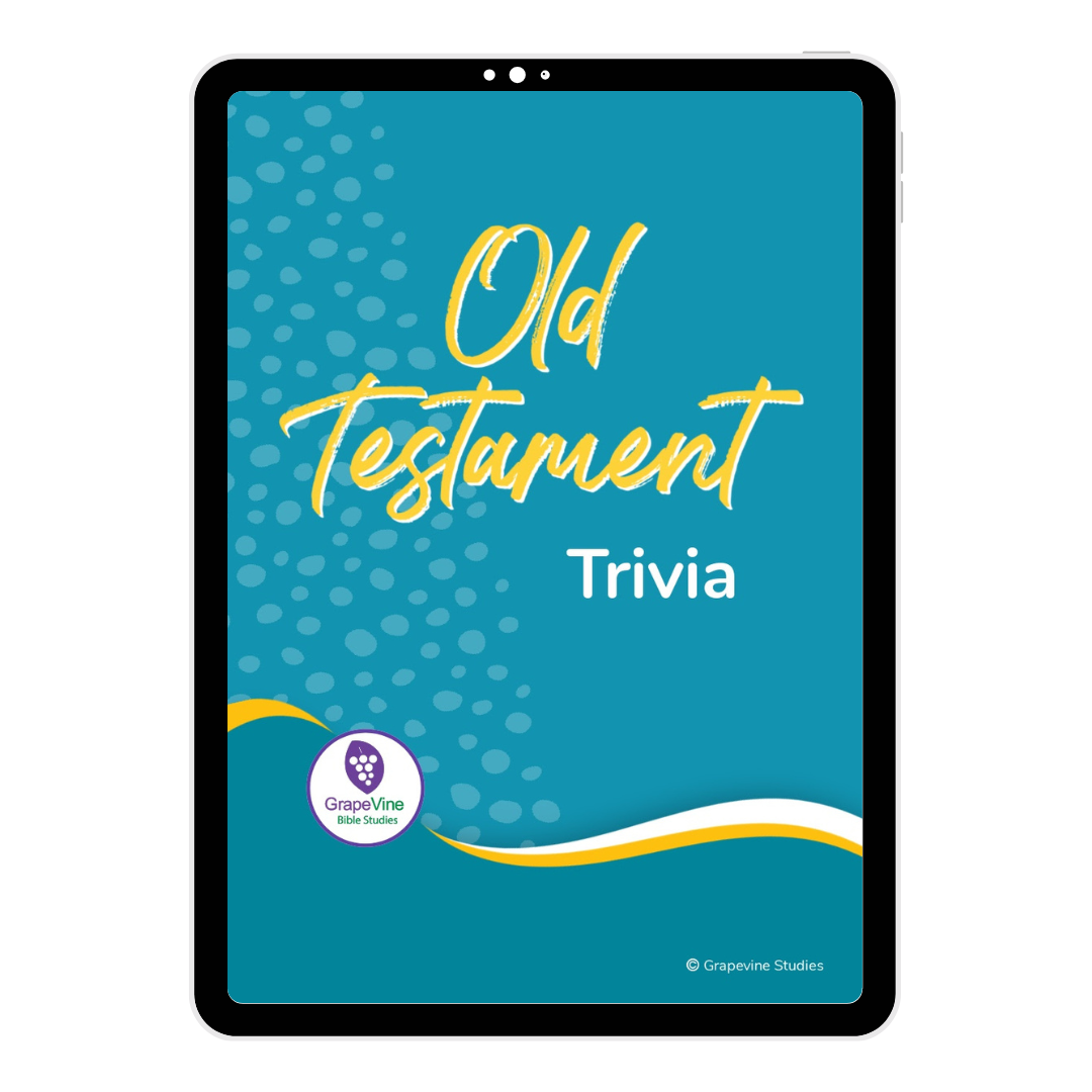Old Testament Timeline Flash Cards - Digital