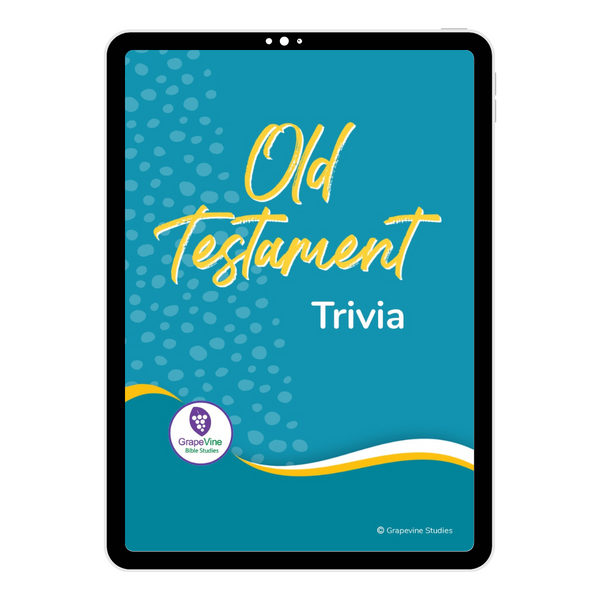 Old Testament Timeline Flash Cards - Digital