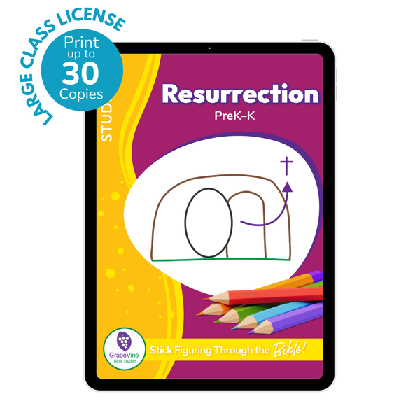 Student eBook - Large Class