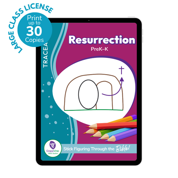 Trace Student eBook - Large Class