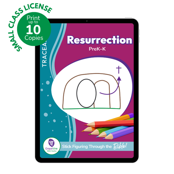 Trace Student eBook - Small Class