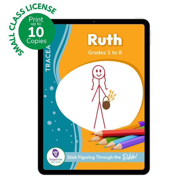 Ruth Student Traceable eBook - Small Class