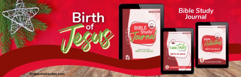 Birth of Jesus Journal image
