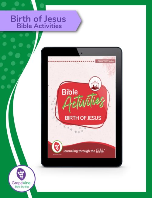 Birth of Jesus Bible Activities Image
