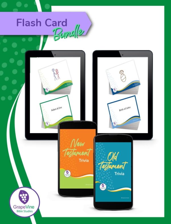 Bible Flash Card Digital Bundle for Families