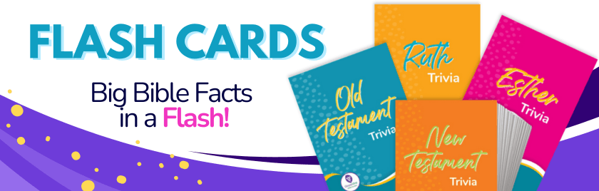 Bible flash card insert