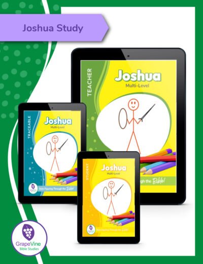 Joshua Bible Study in Digital