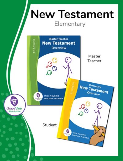 New Testament Elementary- Green image