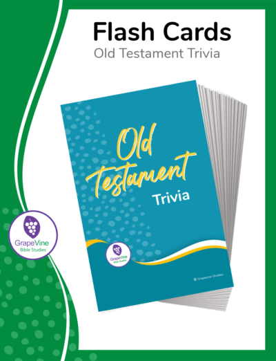Old Testament Bible Trivia Flashcards