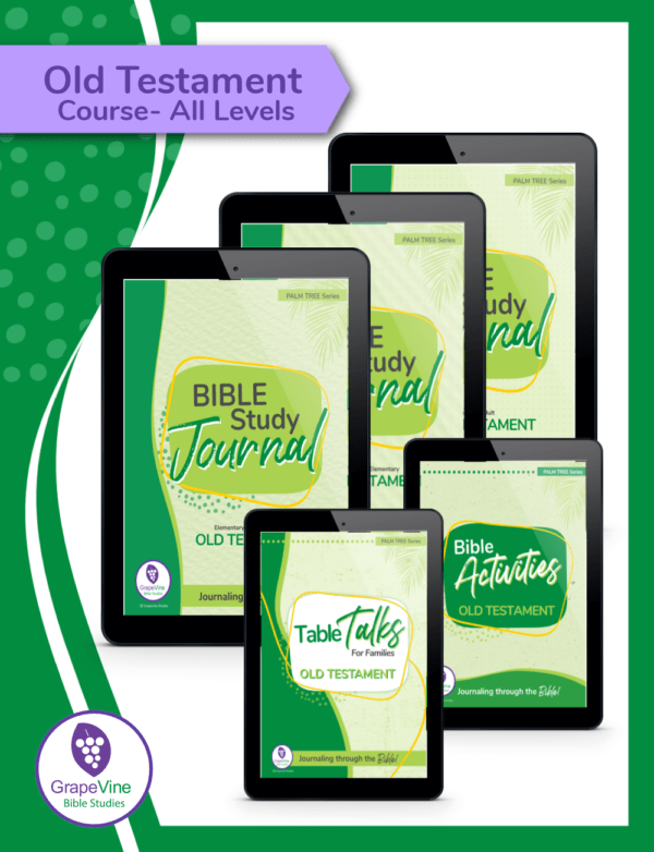 Old Testament Journal Course - All Levels