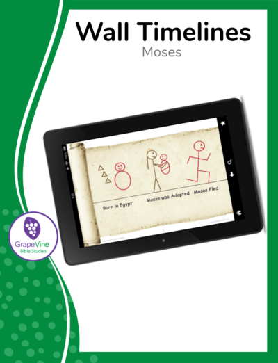 Wall Timelines Moses eBook- Green